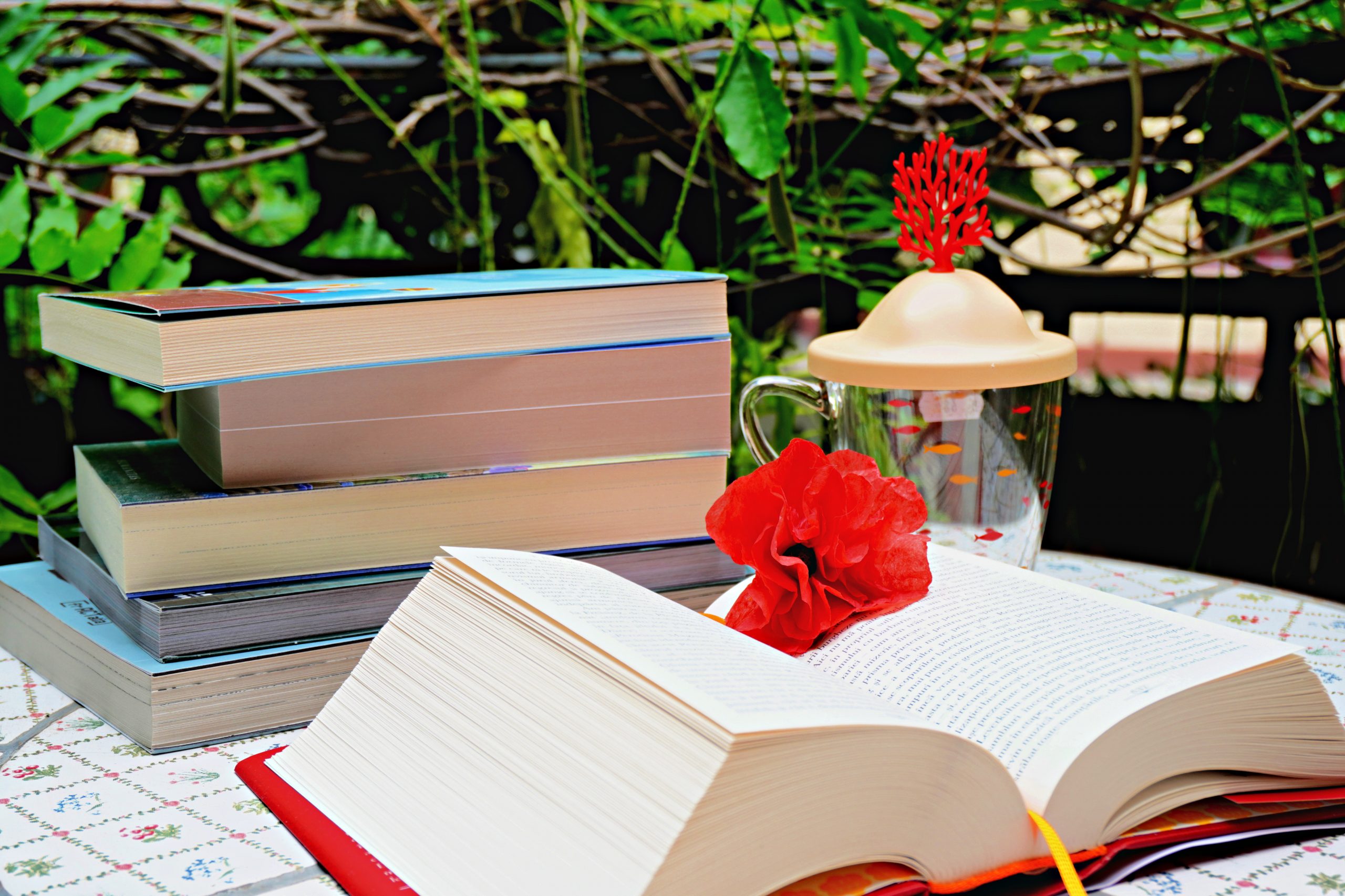 20+ cărți de citit în vacanță: Cele mai frumoase zile libere încep și se termină cu cărți