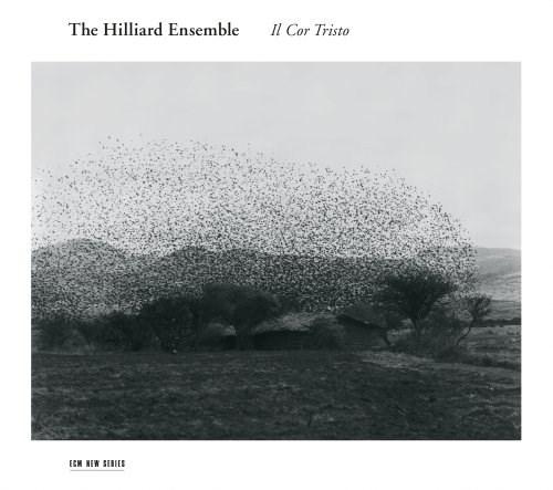 Il Cor Tristo | Hilliard Ensemble, Roger Marsh, Bernardo Pisano, Jacques Arcadelt