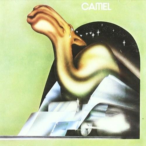 Camel | Camel