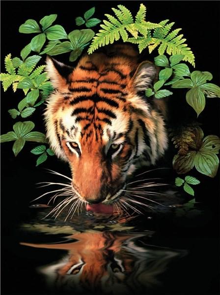 Picteaza dupa numere - Thirsty Tiger | Royal & Langnickel