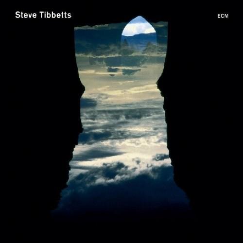 Natural Causes | Steve Tibbetts