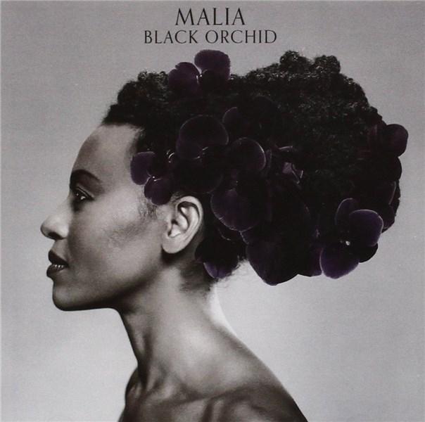 Black Orchid | Malia