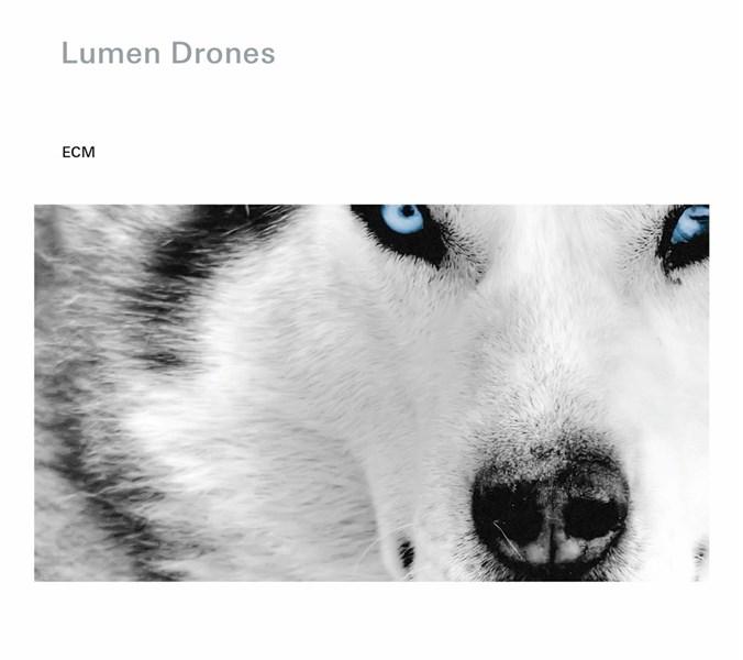 Lumen Drones | Nils Okland