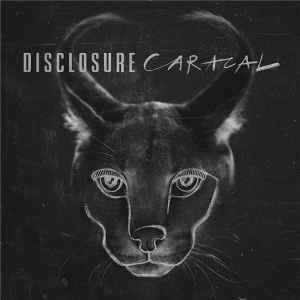 Caracal | Disclosure