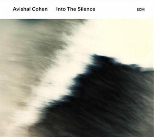 Into The Silence | Avishai Cohen Avishai poza noua