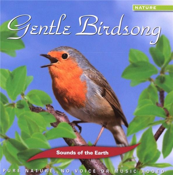Gentle Birdsong | Sounds of the Earth