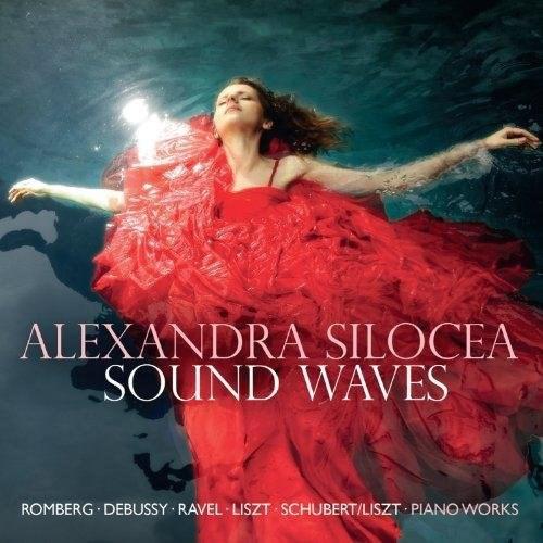 Sound Waves | Alexandra Silocea