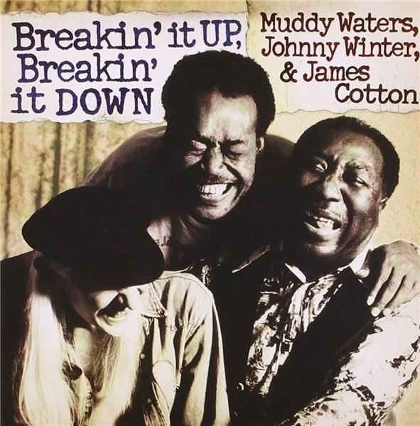 Breakin\' It Up, Breakin\' It Down | Muddy Waters