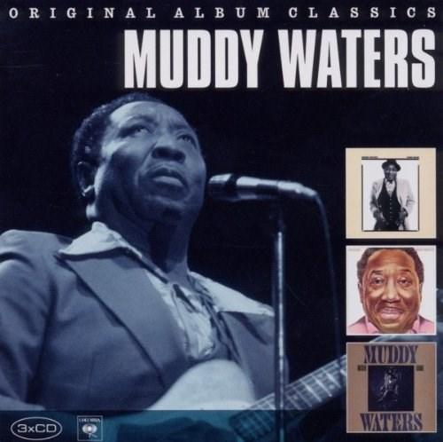 Muddy Waters: Hard Again / I\'m Ready / King Bee | Muddy Waters