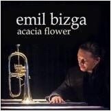 Acacia Flower | Emil Bizga
