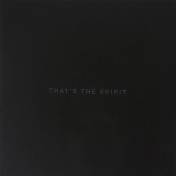 That\'s the Spirit | Bring Me the Horizon