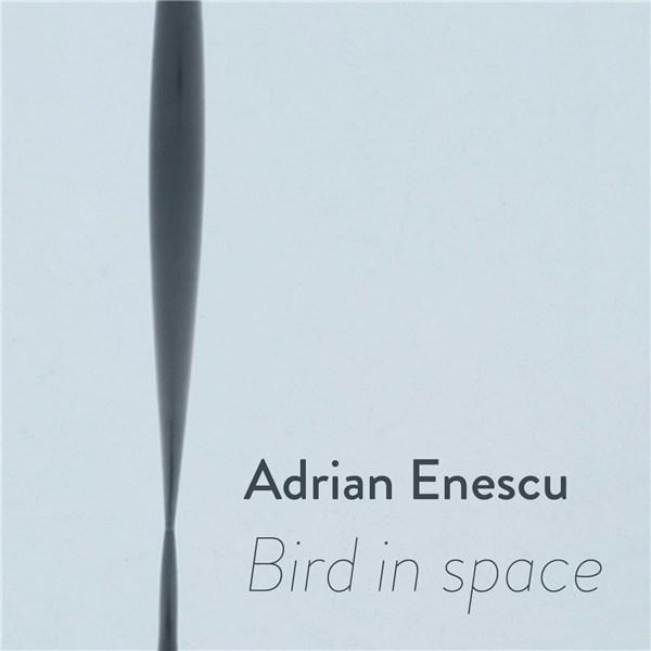 Bird in space | Adrian Enescu