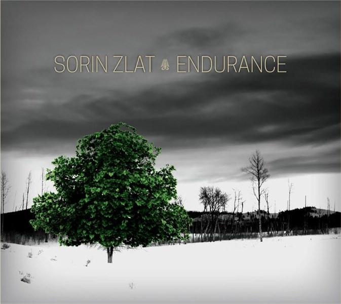 Endurance | Sorin Zlat Trio