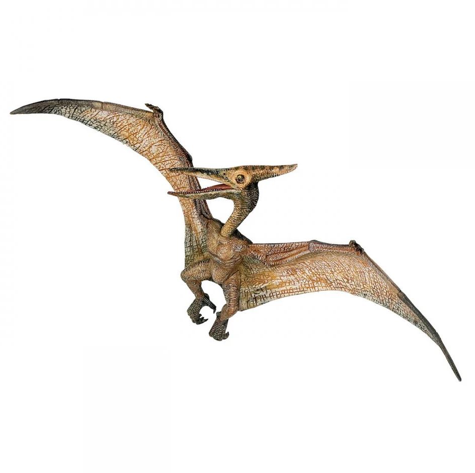 Figurina Papo - Dinozaur Pteranodon | Papo - 2 | YEO