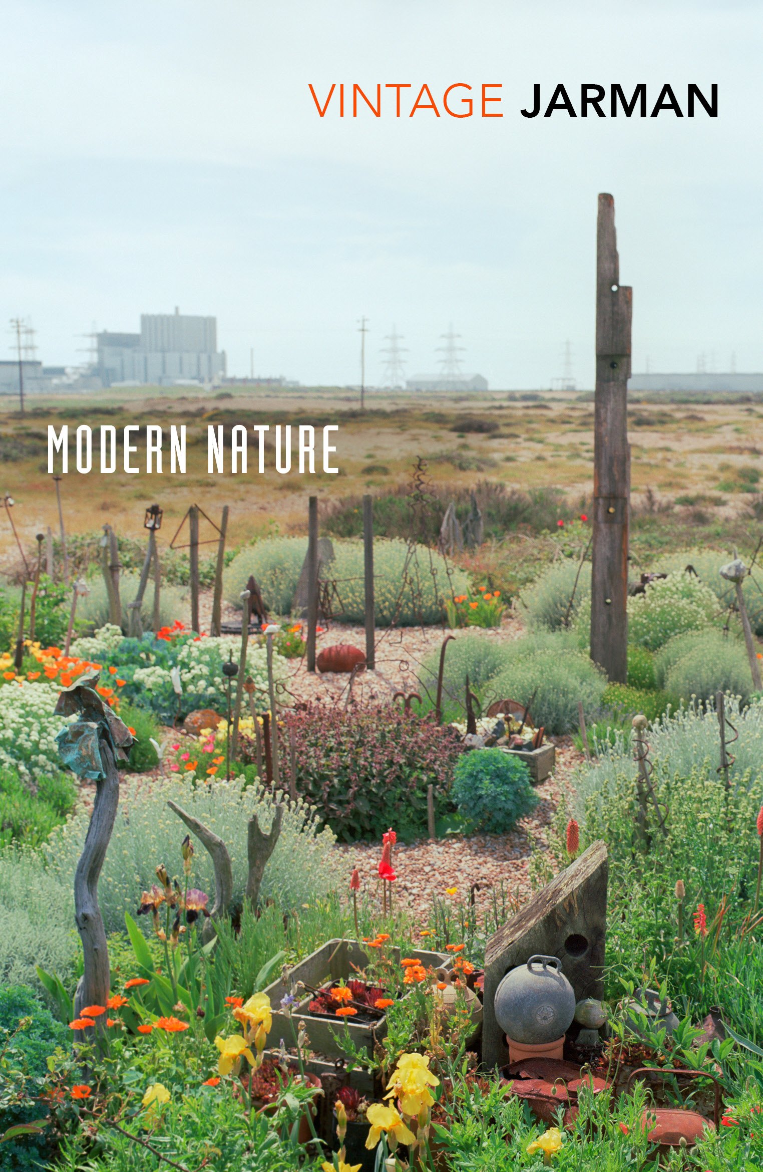 Modern Nature | Derek Jarman