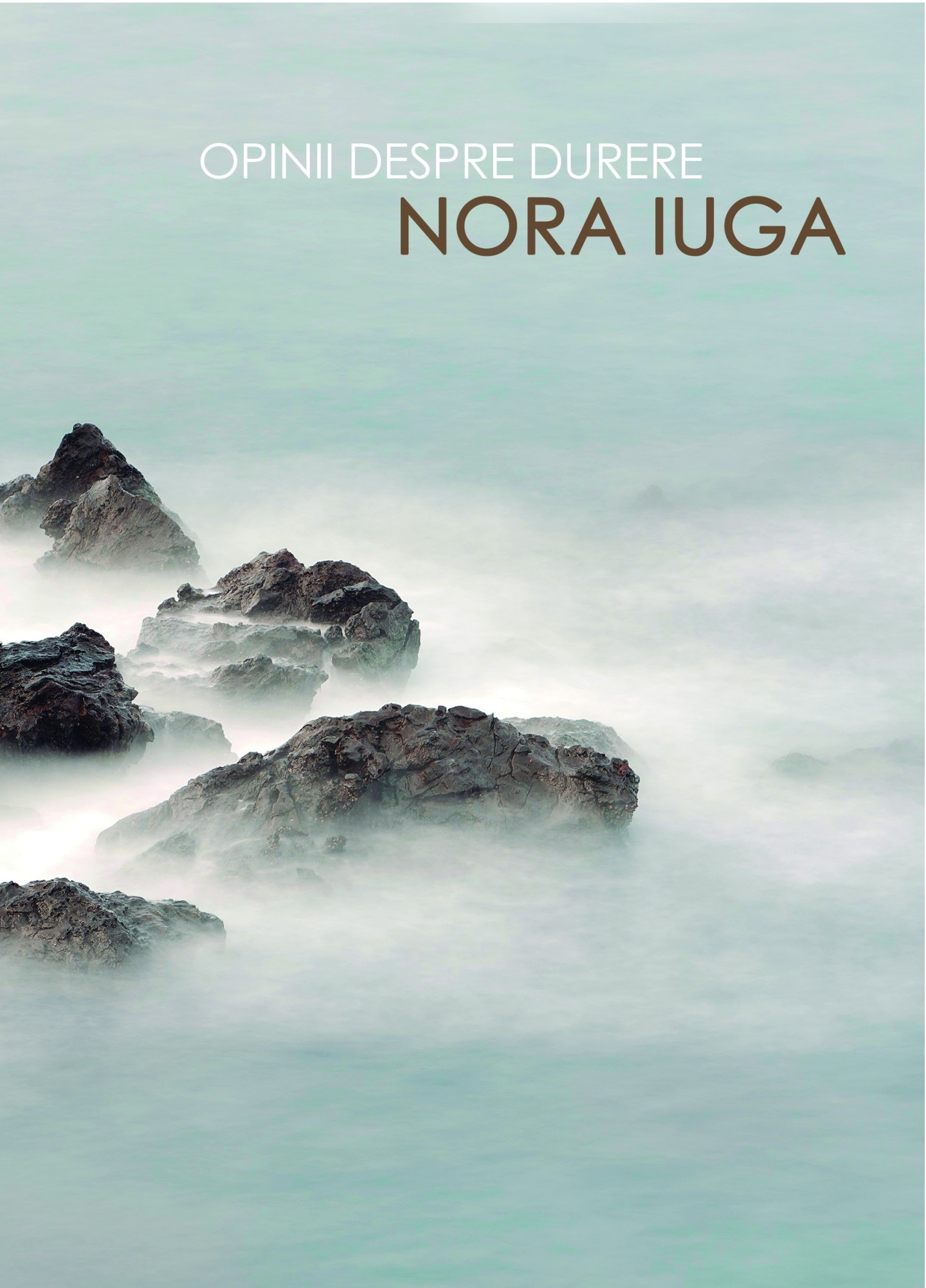 Opinii despre durere | Nora Iuga - 1 | YEO