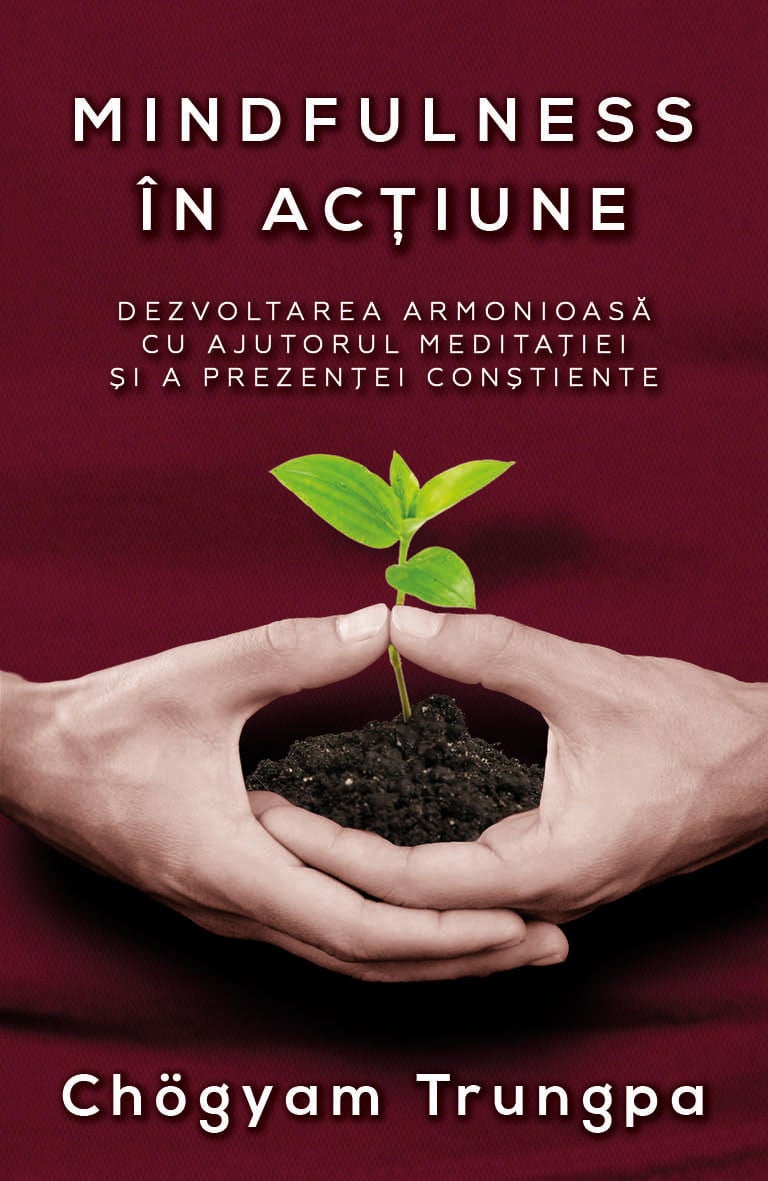 Mindfulness in actiune | Chogyam Trungpa - 2 | YEO