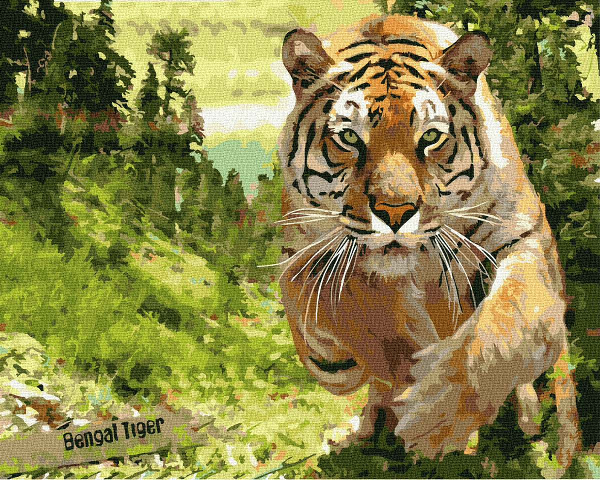 Set pictura pe numere - Bengal Tiger, 40X50cm | Acuarello