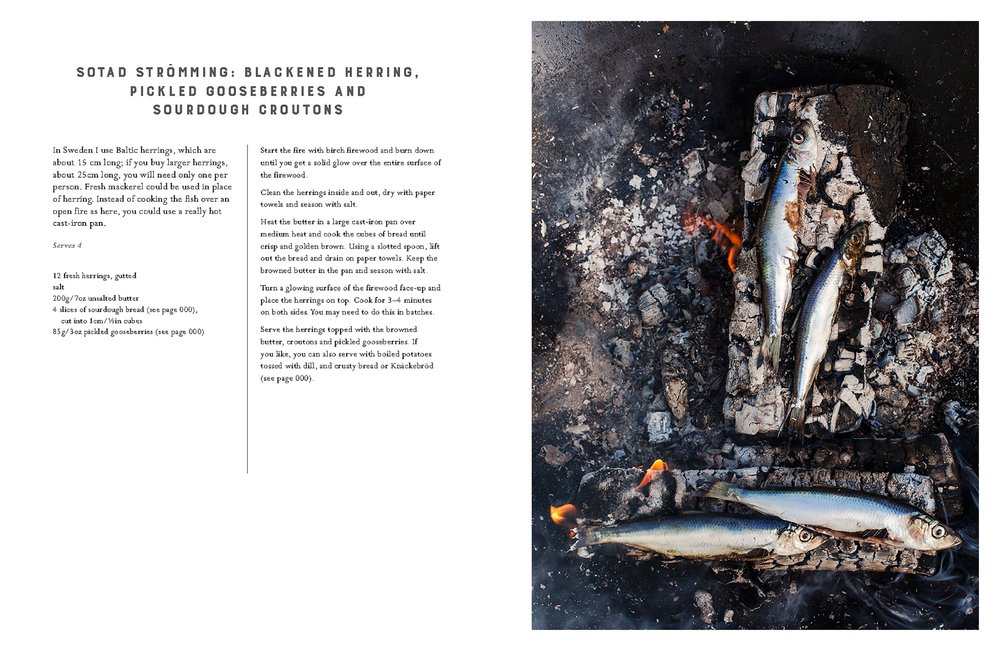 Food from the fire - Niklas Ekstedt | Niklas Ekstedt - 3 | YEO