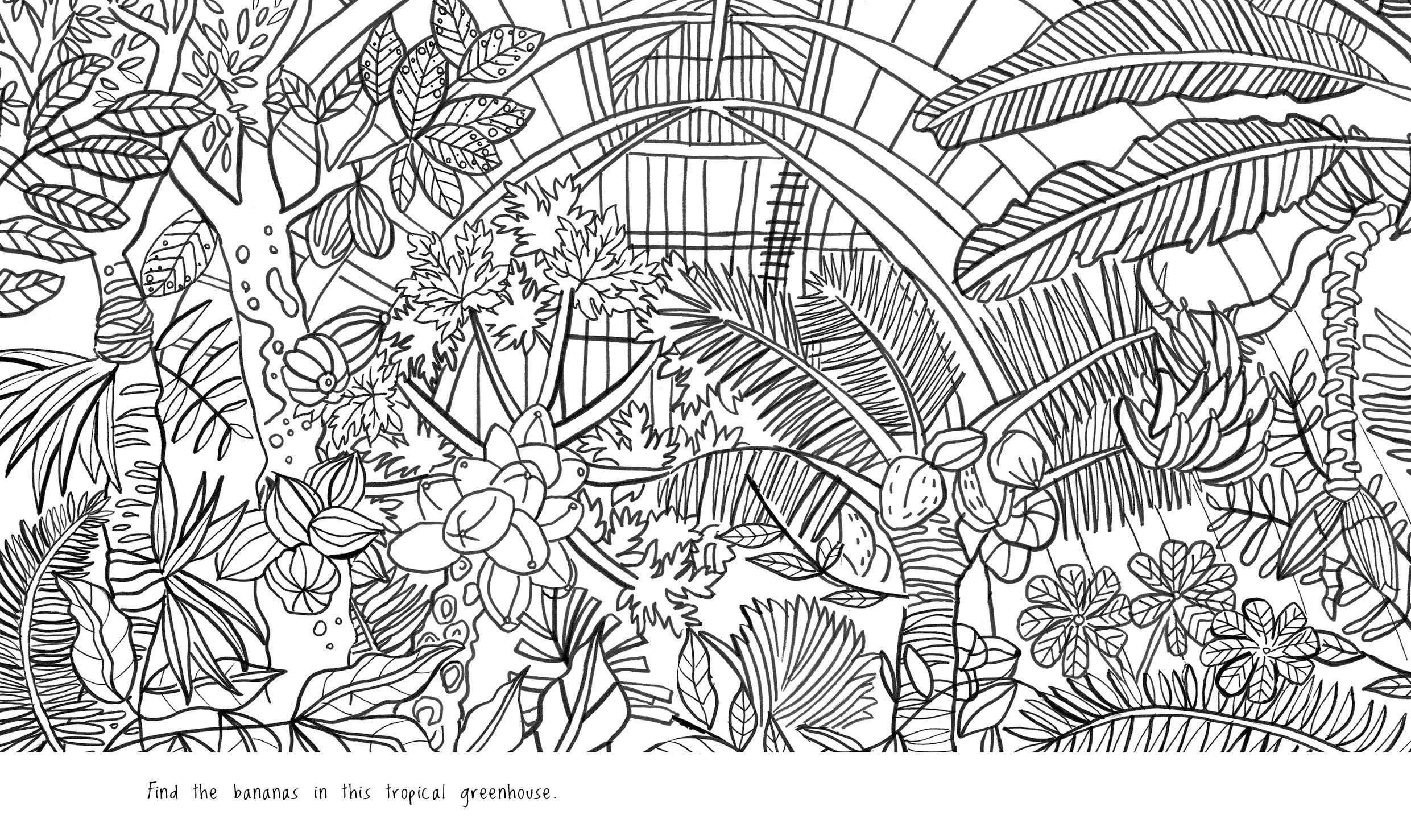 Kew a Year in the Garden Colouring Book (Chameleons) | Howard Hughes - 1 | YEO