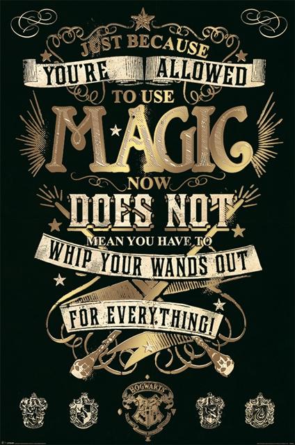 Poster mare - Harry Potter - Magic | Pyramid International