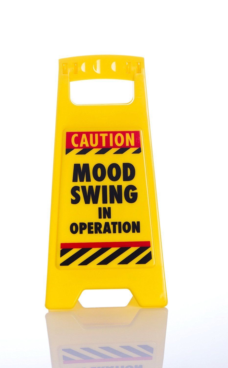 Semn de avertizare pentru birou - Mood Swings | Rex London