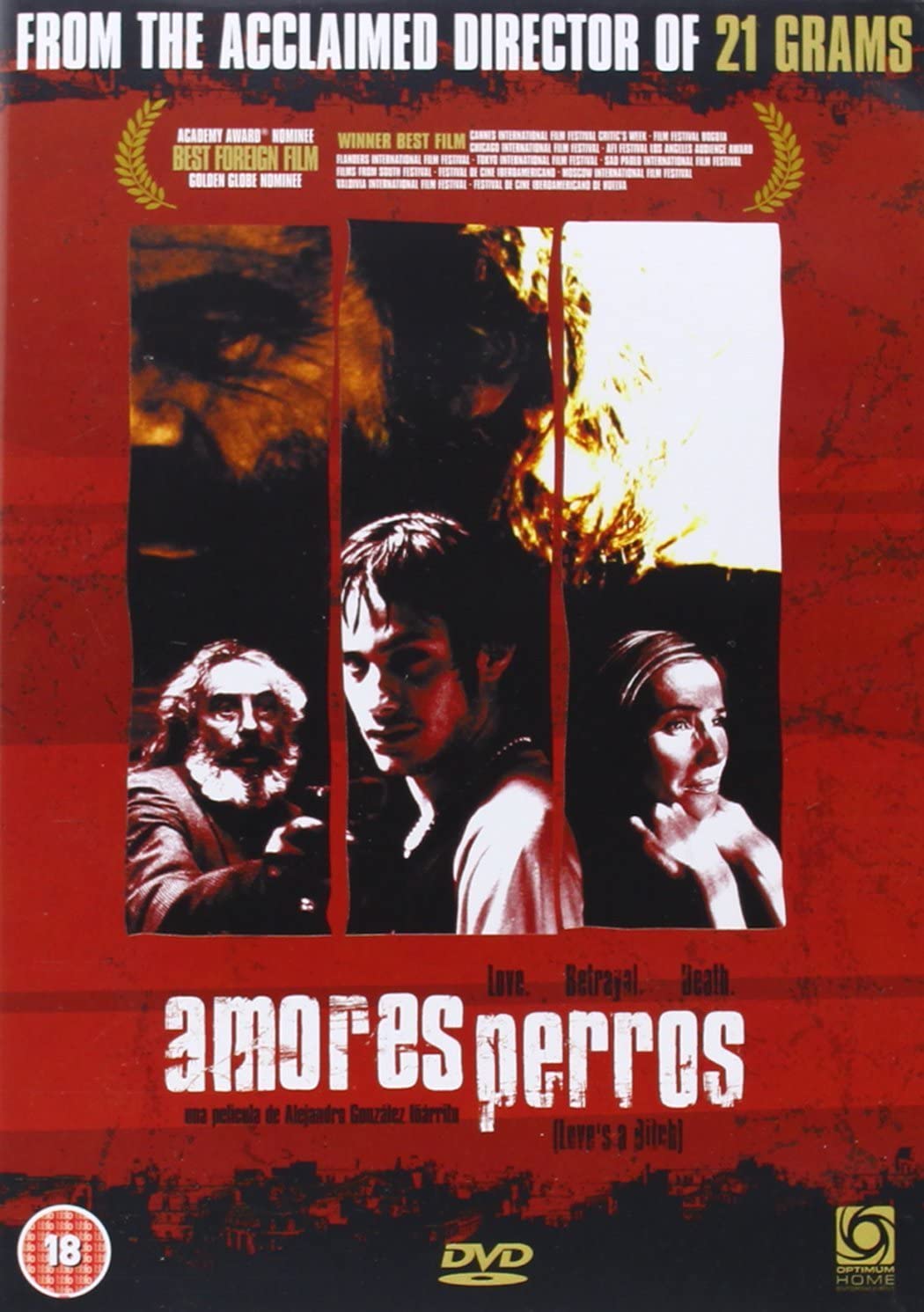 Amores Perros | Alejandro Gonzalez Inarritu