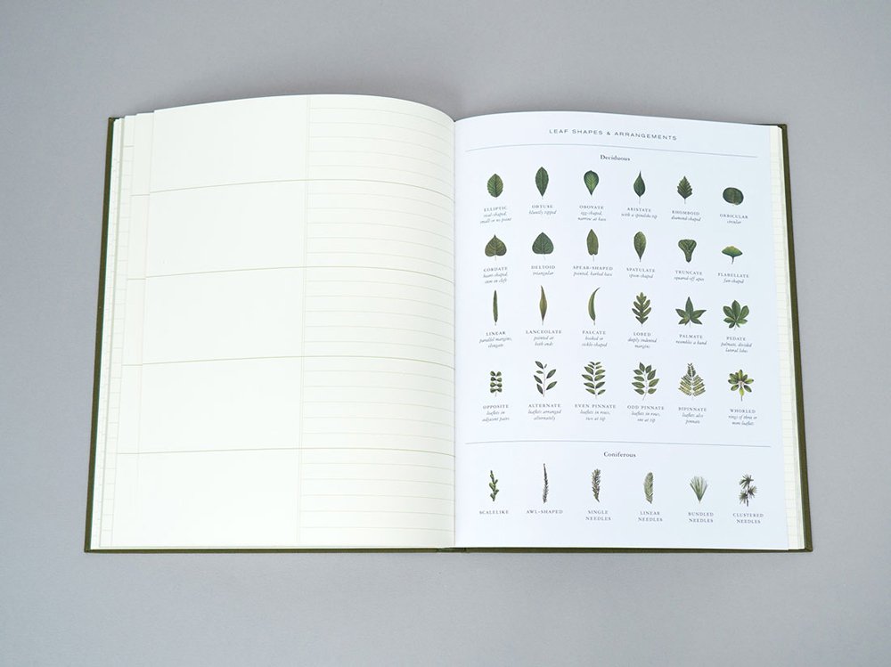 Carnet - Observer\'s Notebook: Trees | Princeton Architectural Press