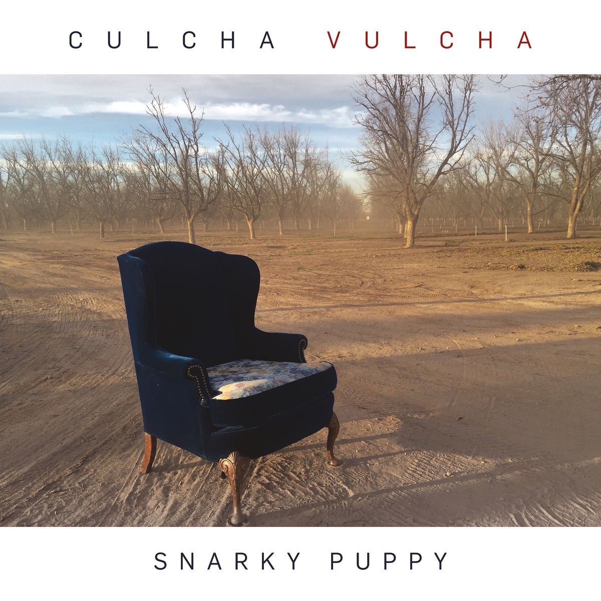 Culcha Vulcha - Vinyl | Snarky Puppy