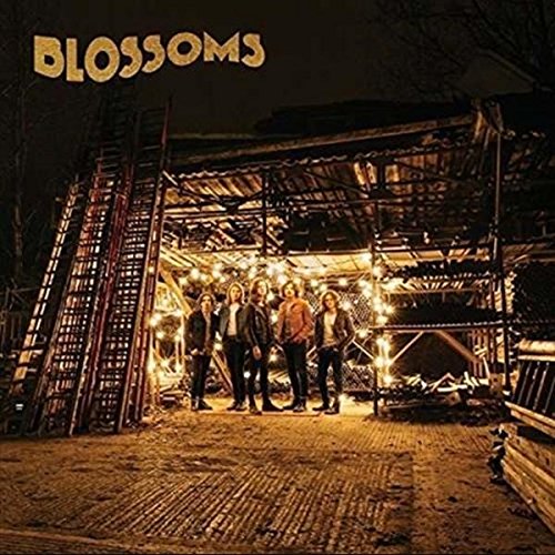 Blossoms - Vinyl | Blossoms