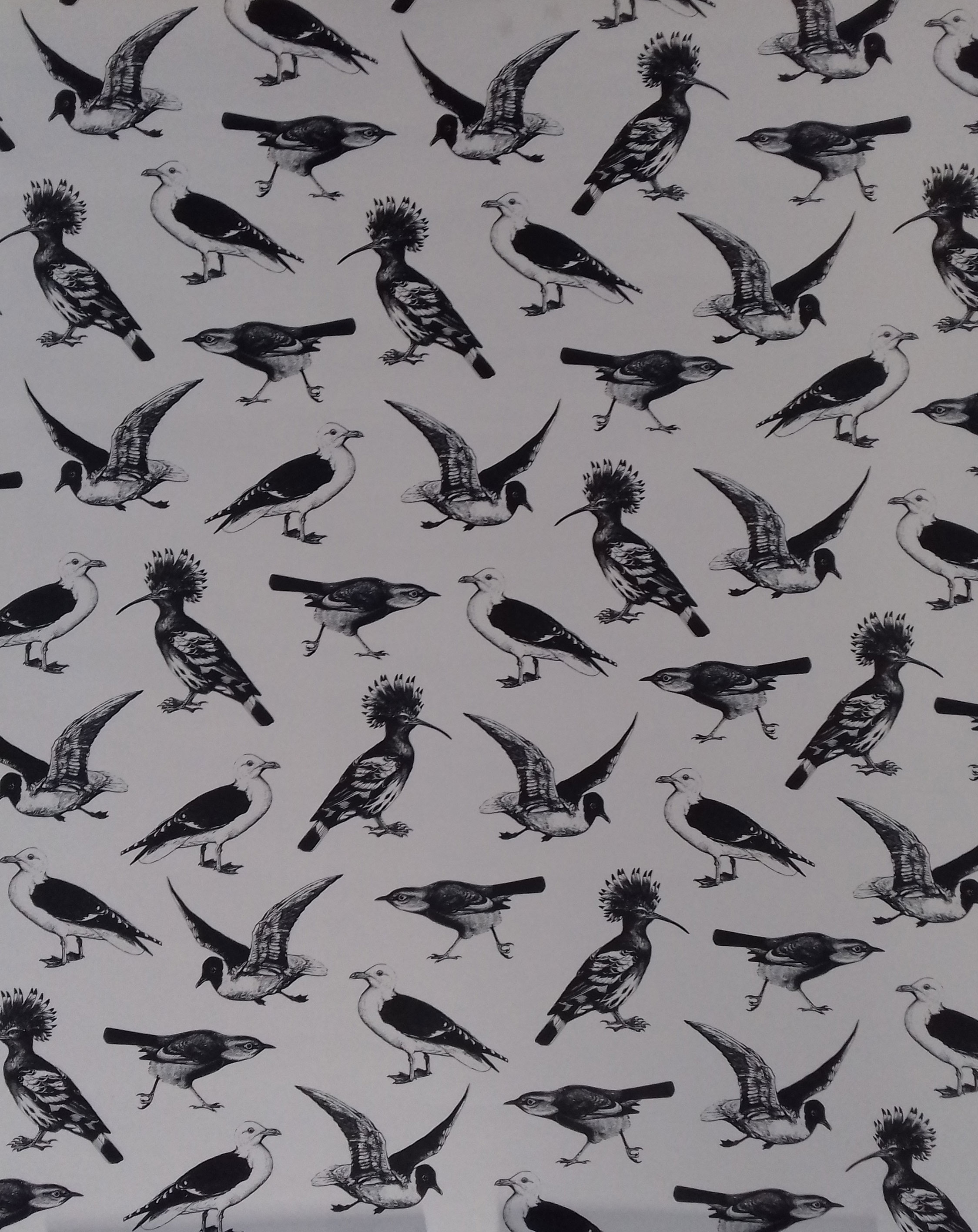 Hartie de impachetat - Black and white birds | Old Must House