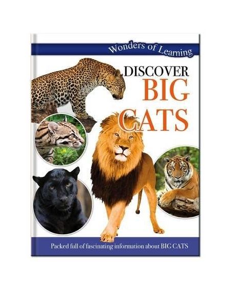 Discover Big Cats | 