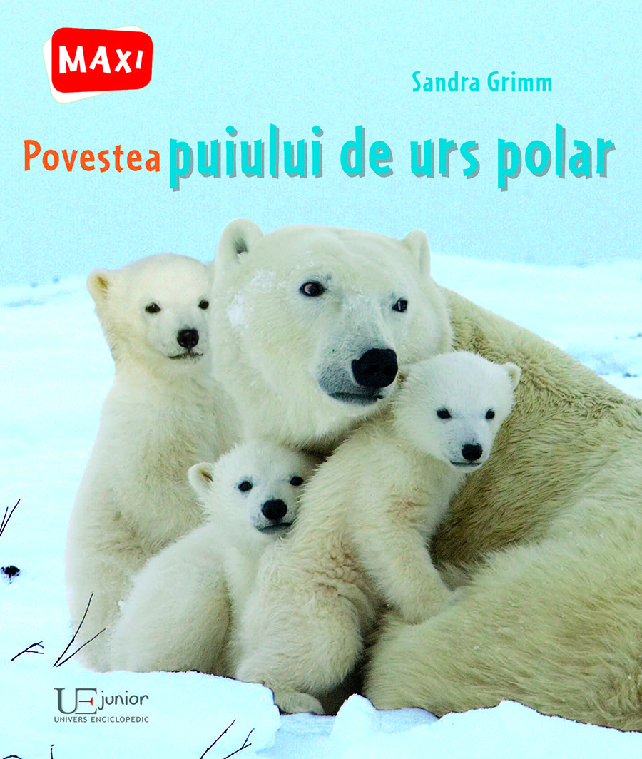 Povestea puiului de urs polar | Sandra Grimm