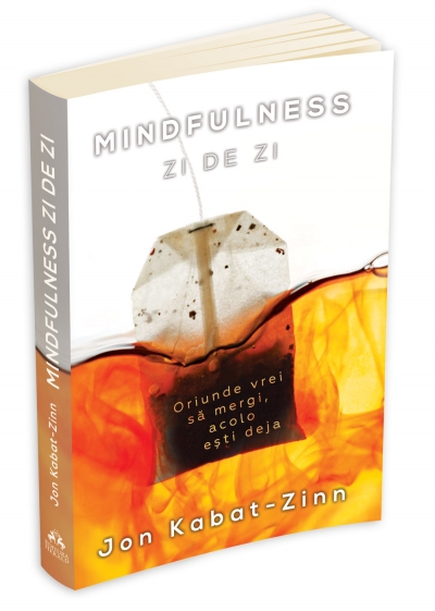 Mindfulness zi de zi | Jon Kabat - Zinn