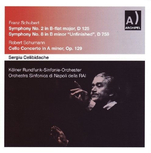 Symphony No. 2 & 8 / Cello Concerto | Franz Schubert, Robert Schumann