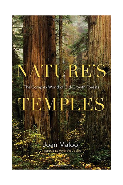 Nature\'s Temples | Joan Maloof