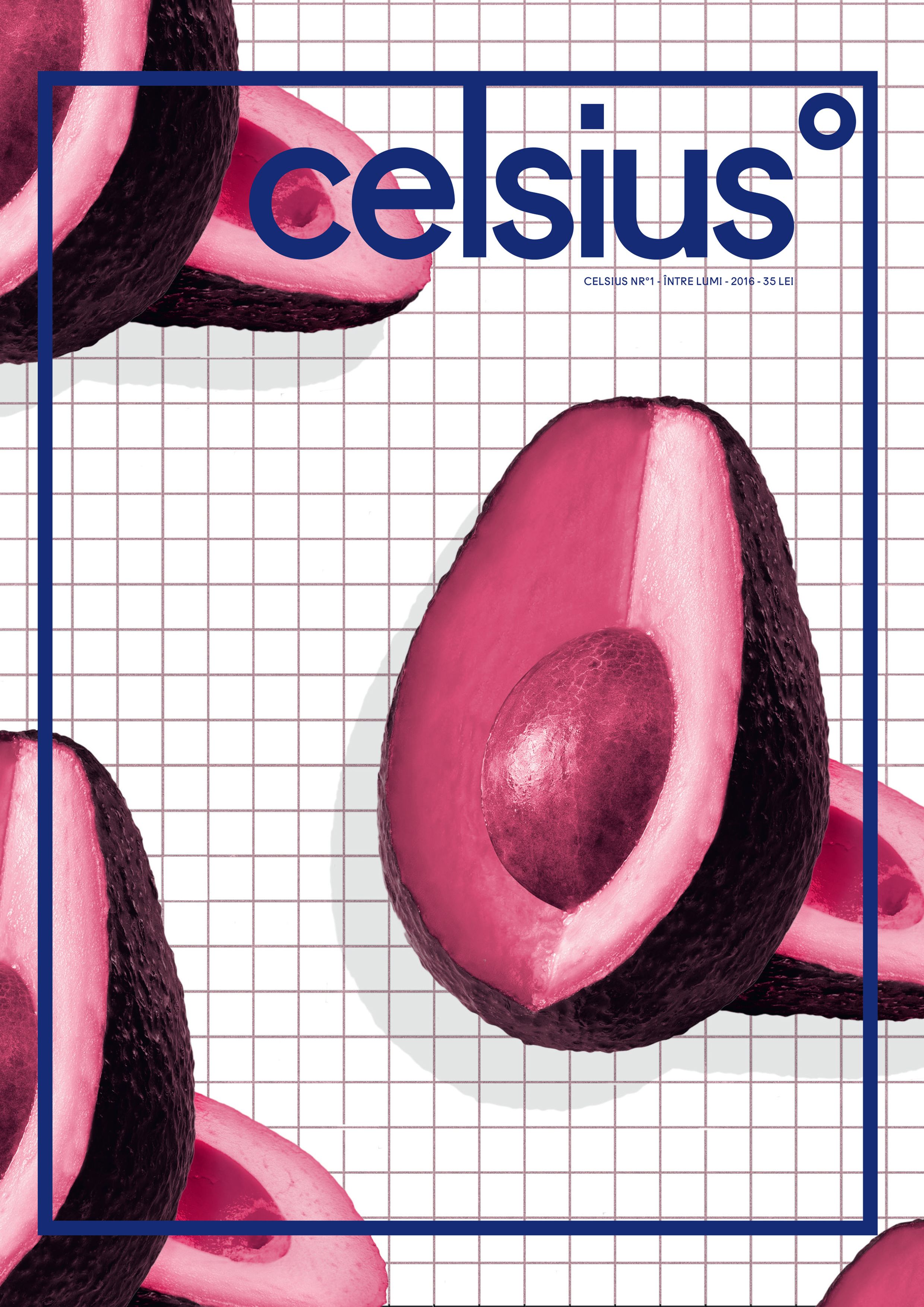 Revista Celsius Nr. 1 | carturesti 2022