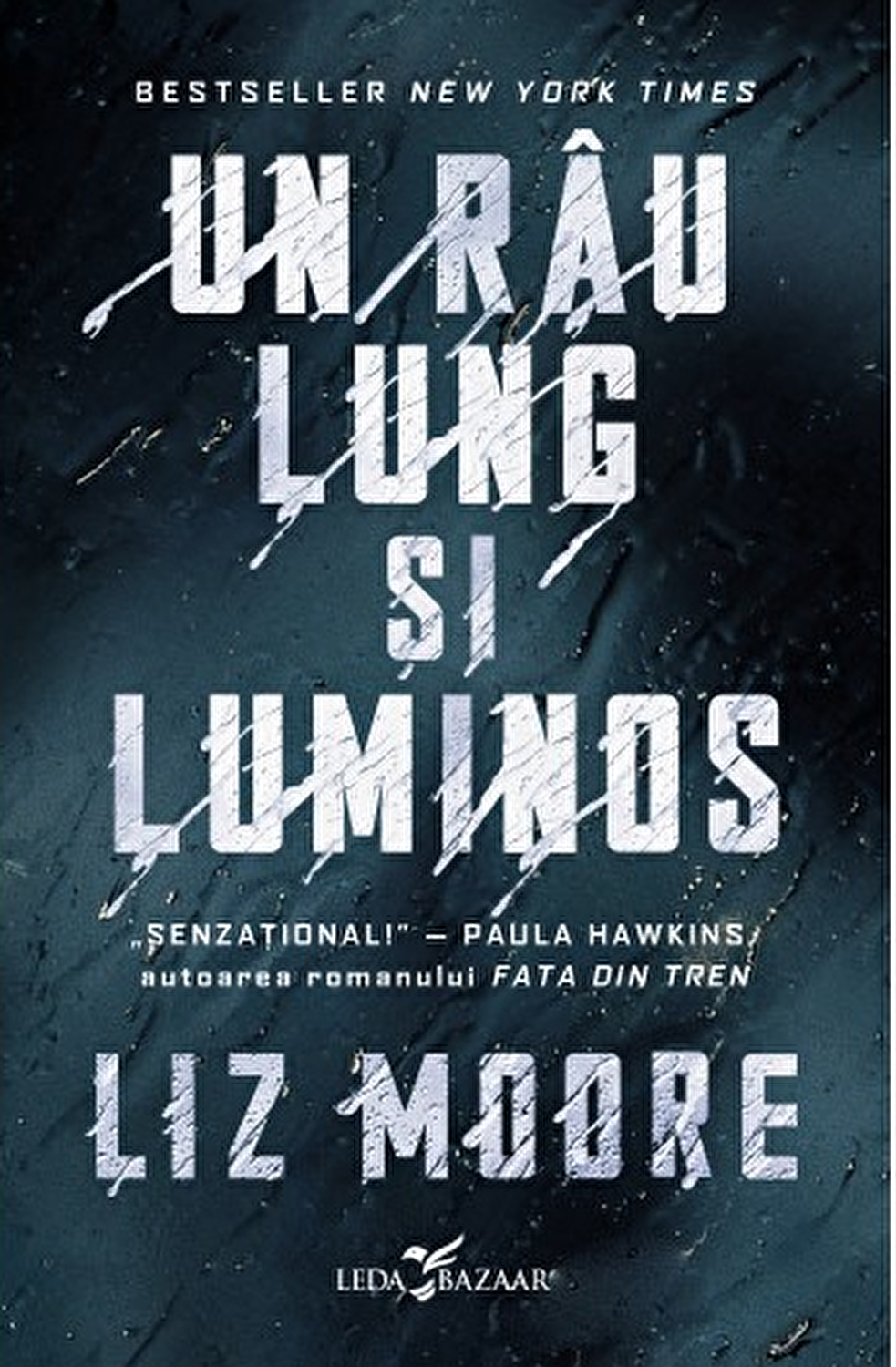 Un rau lung si luminos | Liz Moore carturesti.ro poza bestsellers.ro