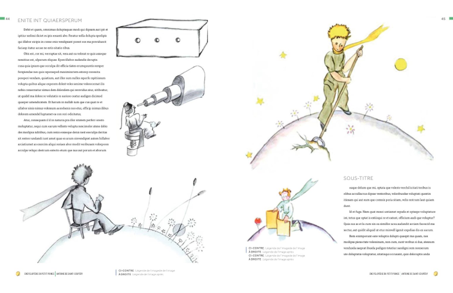 The Little Prince - A Visual Dictionary | Christophe Quillien - 1 | YEO