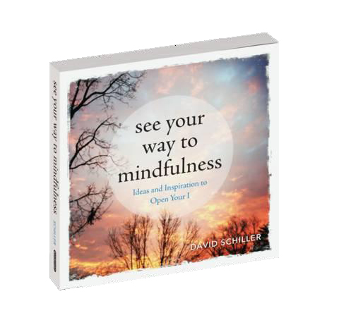 See Your Way To Mindfulness | David Schiller