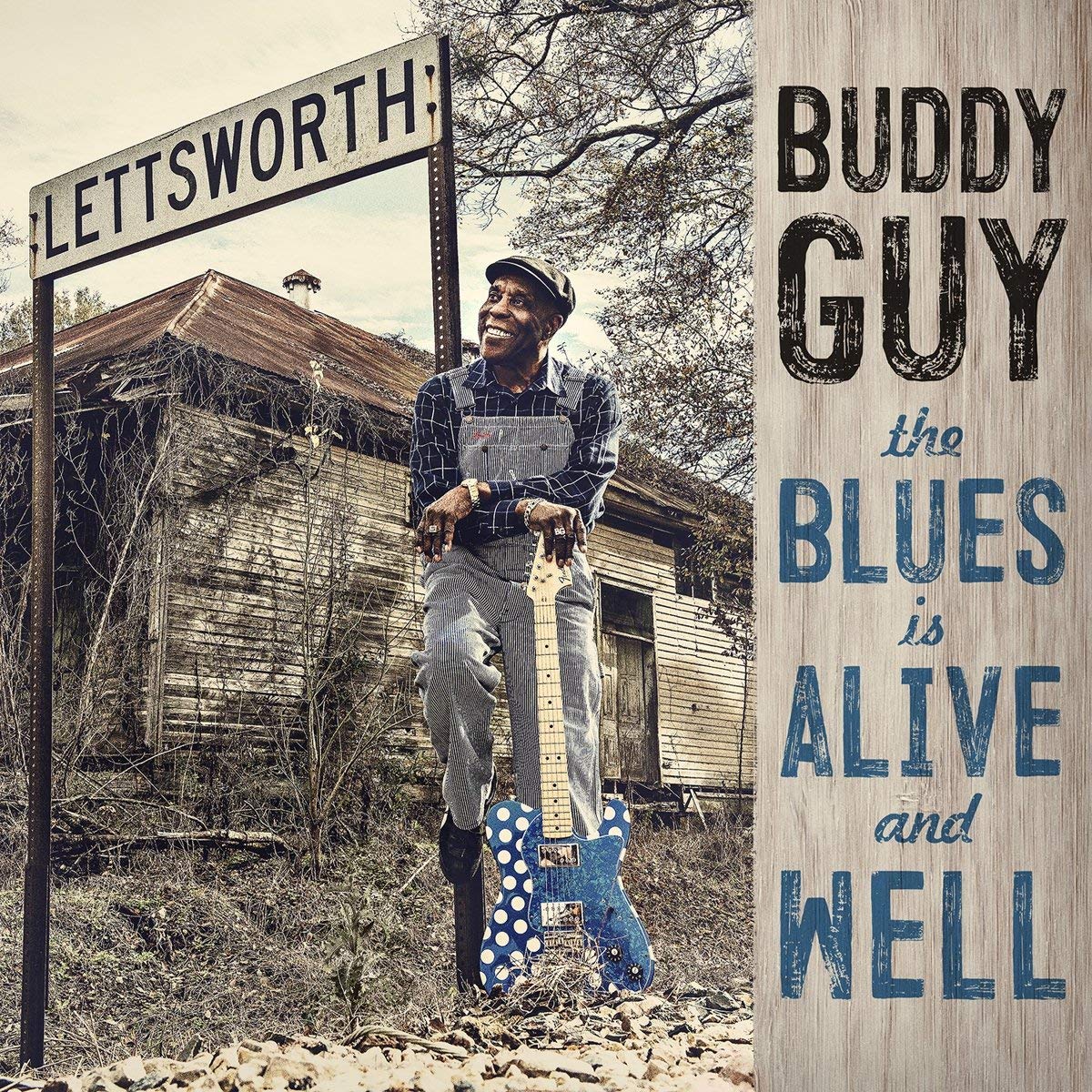 The Blues Is Alive And Well - Vinyl | Buddy Guy