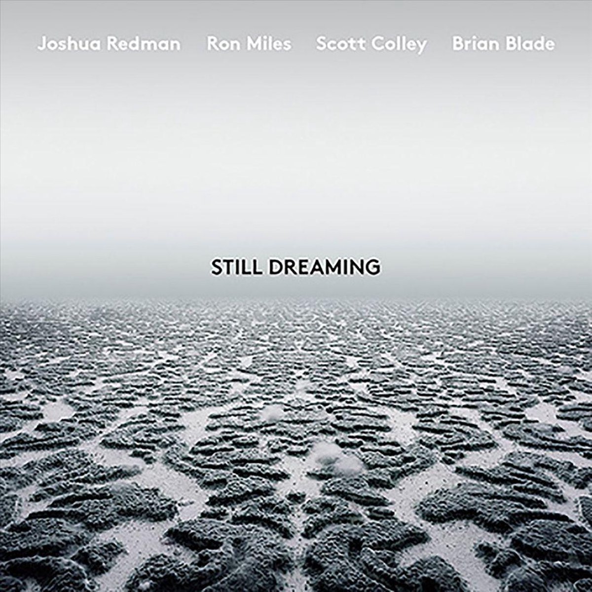 Still Dreaming - Vinyl | Joshua Redman - 1 | YEO