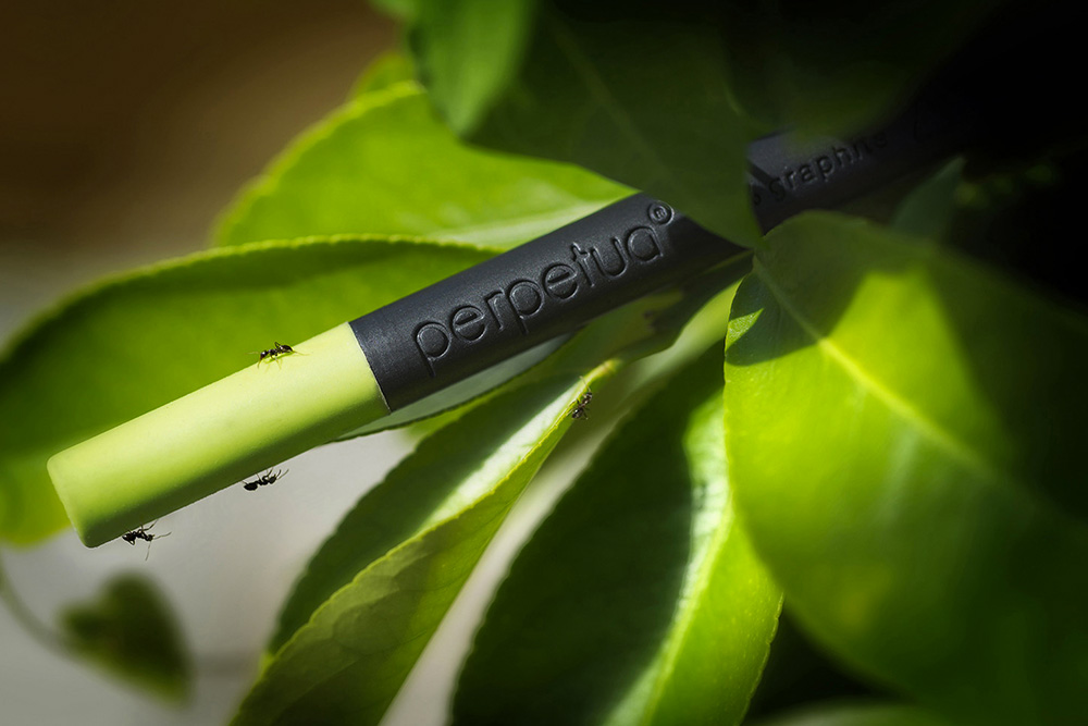 Creion Grafit - Perpetua the pencil - Green Eraser | Perpetua - 2 | YEO