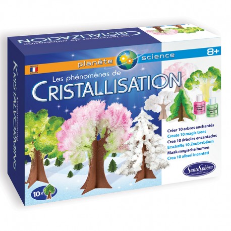 Kit creativ - Les Phenomenes de Cristallisation | SentoSphere