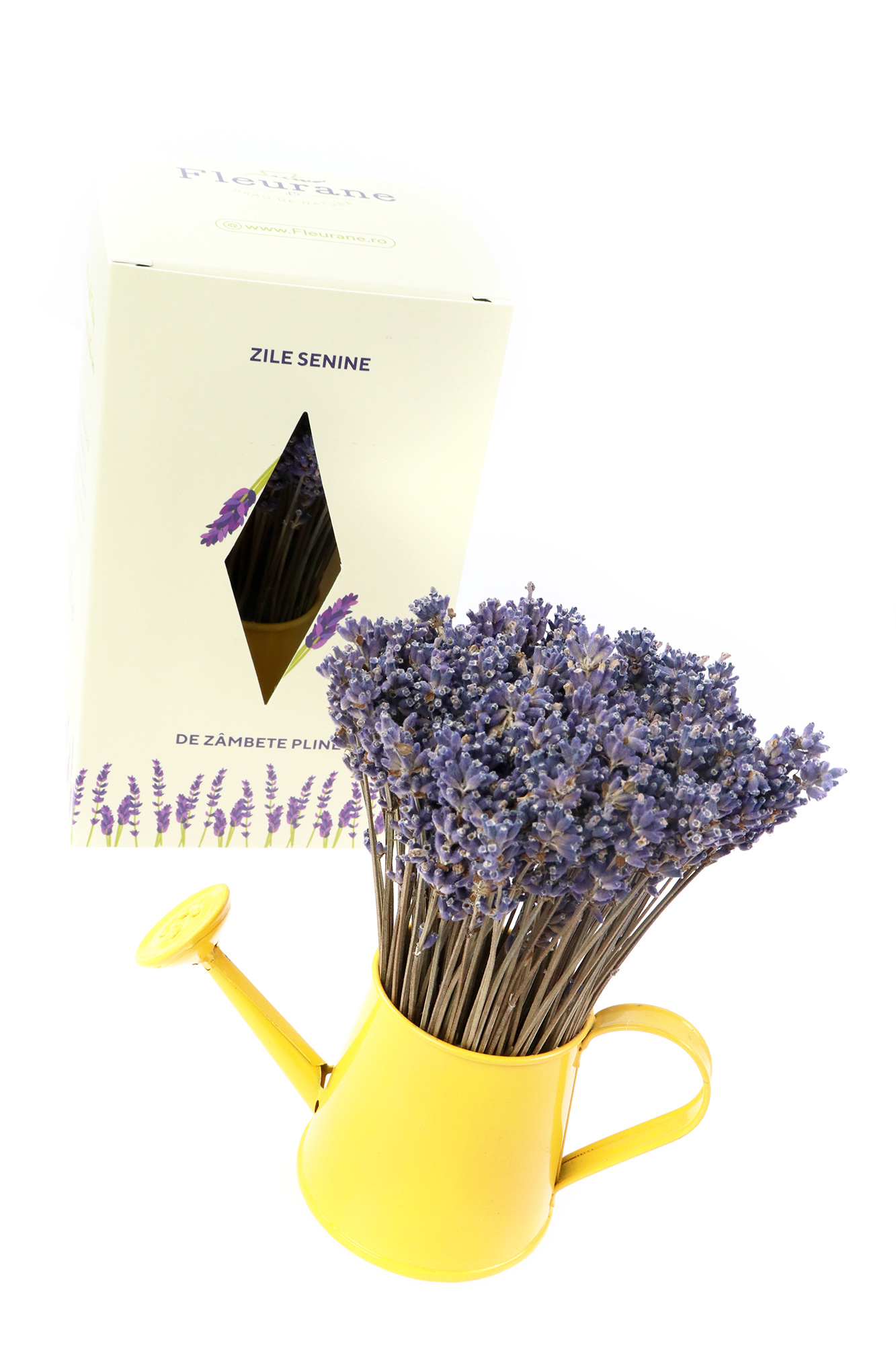 Aranjament floral - Mini stropitoare cu lavanda, galben | Fleurane - 1 | YEO