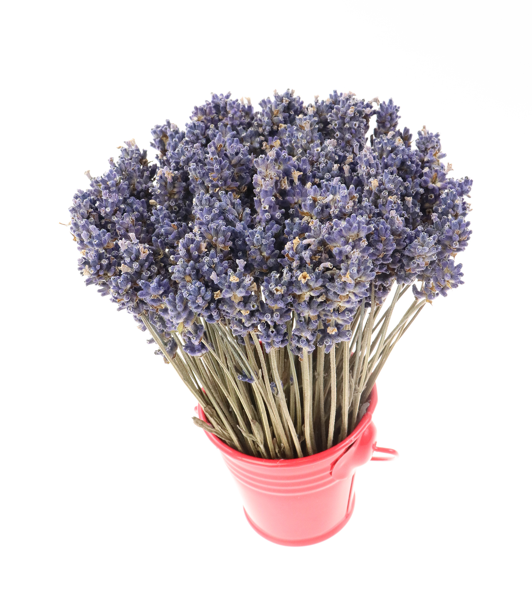 Aranjament floral - Galetusa cu lavanda, rosu | Fleurane