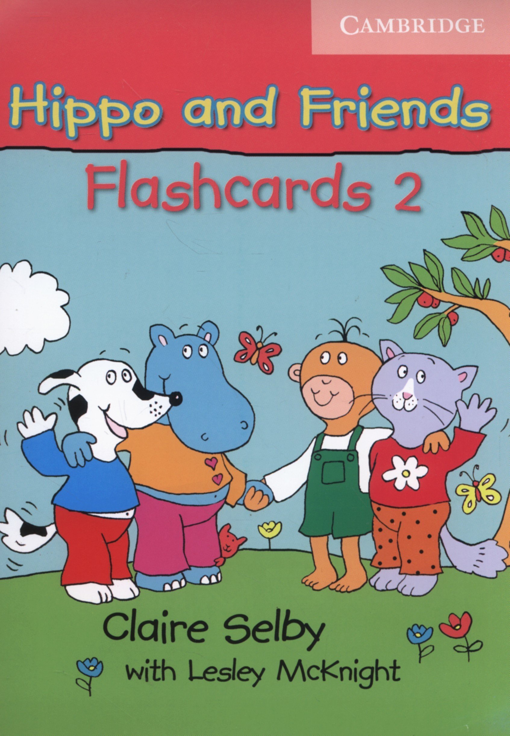 Hippo And Friends 2 Flashcards Pack Of 64 | Claire Selby