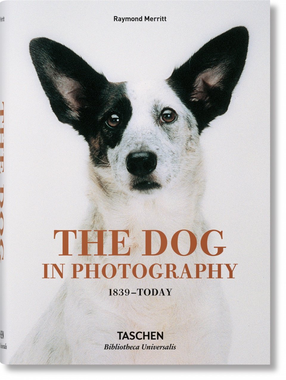 The Dog in Photography 1839-Today | Raymond Merritt