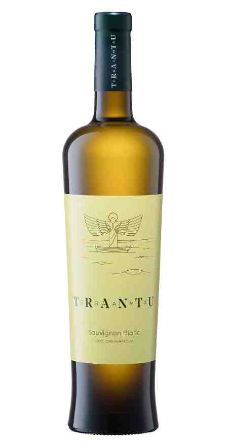 Vin alb - Crama Trantu, Sauvignon Blanc, 2019, sec | Crama Trantu