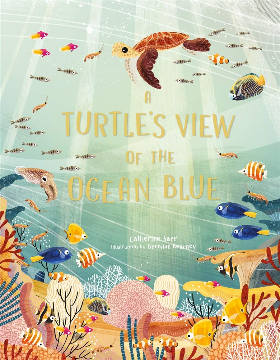 A Turtle\'s View of the Ocean Blue | Catherine Barr